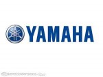 Yamaha Lift Kits - More Details